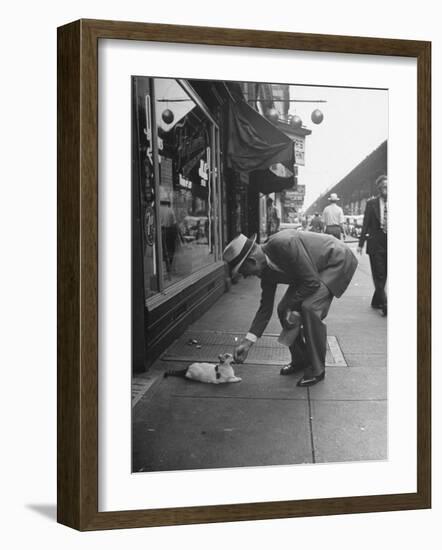 Man Bending over to Touch Cat Sitting on Sidewalk-Nina Leen-Framed Photographic Print