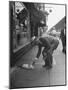 Man Bending over to Touch Cat Sitting on Sidewalk-Nina Leen-Mounted Photographic Print