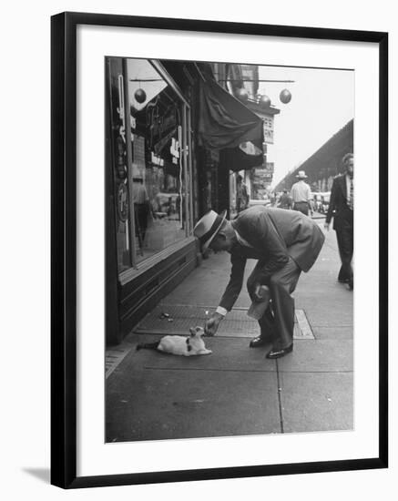 Man Bending over to Touch Cat Sitting on Sidewalk-Nina Leen-Framed Photographic Print