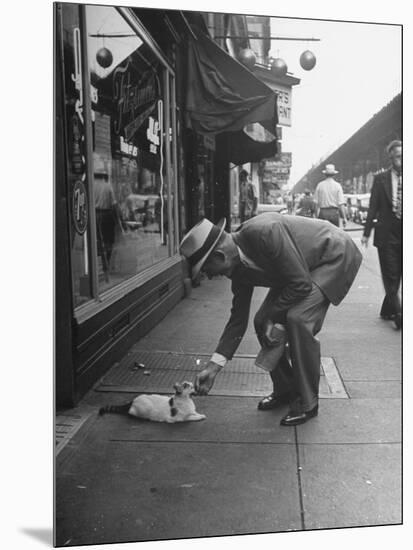 Man Bending over to Touch Cat Sitting on Sidewalk-Nina Leen-Mounted Photographic Print