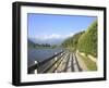 Man Bikes Along Path at Lake's Edge, Lake Como, Italian Lakes, Lombardy, Italy, Europe-Vincenzo Lombardo-Framed Photographic Print