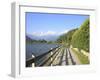 Man Bikes Along Path at Lake's Edge, Lake Como, Italian Lakes, Lombardy, Italy, Europe-Vincenzo Lombardo-Framed Photographic Print