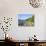 Man Bikes Along Path at Lake's Edge, Lake Como, Italian Lakes, Lombardy, Italy, Europe-Vincenzo Lombardo-Photographic Print displayed on a wall