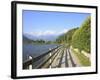 Man Bikes Along Path at Lake's Edge, Lake Como, Italian Lakes, Lombardy, Italy, Europe-Vincenzo Lombardo-Framed Photographic Print