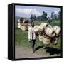 Man Carries Traditional Split-Bamboo Baskets to Sell at Kisoro Market, Southwest Uganda-Nigel Pavitt-Framed Stretched Canvas