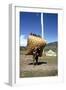 Man Carrying a Huge Load, Bumthang, Bhutan-Vivienne Sharp-Framed Photographic Print