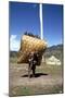 Man Carrying a Huge Load, Bumthang, Bhutan-Vivienne Sharp-Mounted Photographic Print