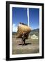 Man Carrying a Huge Load, Bumthang, Bhutan-Vivienne Sharp-Framed Photographic Print