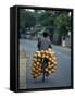 Man Carrying Coconuts on the Back of His Bicycle, Sri Lanka, Asia-Yadid Levy-Framed Stretched Canvas