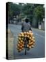 Man Carrying Coconuts on the Back of His Bicycle, Sri Lanka, Asia-Yadid Levy-Stretched Canvas