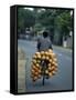 Man Carrying Coconuts on the Back of His Bicycle, Sri Lanka, Asia-Yadid Levy-Framed Stretched Canvas