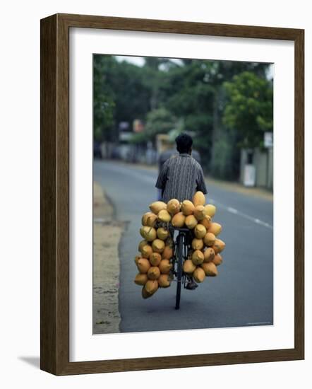 Man Carrying Coconuts on the Back of His Bicycle, Sri Lanka, Asia-Yadid Levy-Framed Photographic Print