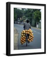 Man Carrying Coconuts on the Back of His Bicycle, Sri Lanka, Asia-Yadid Levy-Framed Photographic Print