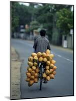 Man Carrying Coconuts on the Back of His Bicycle, Sri Lanka, Asia-Yadid Levy-Mounted Photographic Print