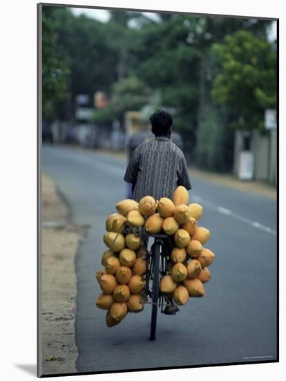 Man Carrying Coconuts on the Back of His Bicycle, Sri Lanka, Asia-Yadid Levy-Mounted Photographic Print