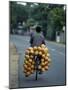 Man Carrying Coconuts on the Back of His Bicycle, Sri Lanka, Asia-Yadid Levy-Mounted Photographic Print