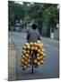 Man Carrying Coconuts on the Back of His Bicycle, Sri Lanka, Asia-Yadid Levy-Mounted Photographic Print