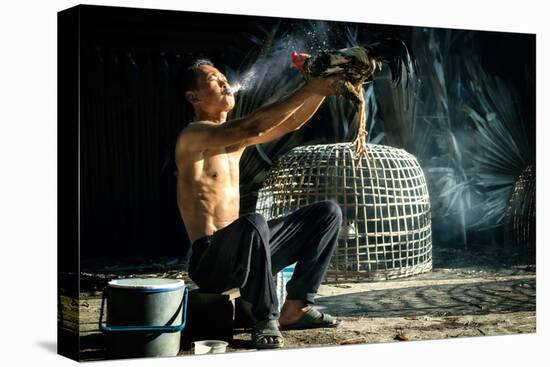 Man Cleaning Thai Gamecock-SantiPhotoSS-Stretched Canvas