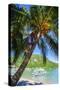 Man Climbing on a Coconut Tree, El Nido, Bacuit Archipelago, Palawan, Philippines-Michael Runkel-Stretched Canvas