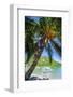Man Climbing on a Coconut Tree, El Nido, Bacuit Archipelago, Palawan, Philippines-Michael Runkel-Framed Photographic Print
