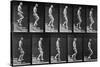 Man Descending Stairs, from 'Animal Locomotion', 1887 (B/W Photo)-Eadweard Muybridge-Stretched Canvas