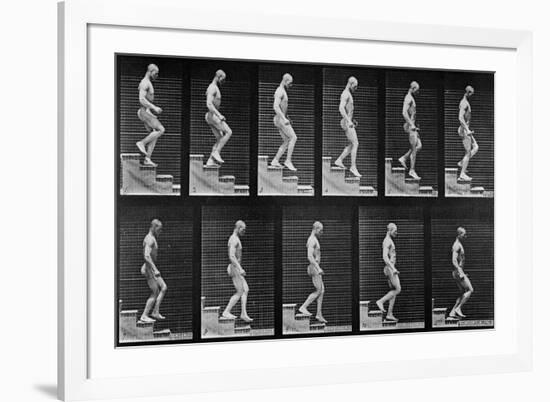 Man Descending Stairs, from 'Animal Locomotion', 1887 (B/W Photo)-Eadweard Muybridge-Framed Giclee Print