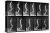 Man Descending Stairs, from 'Animal Locomotion', 1887 (B/W Photo)-Eadweard Muybridge-Stretched Canvas