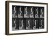 Man Descending Stairs, from 'Animal Locomotion', 1887 (B/W Photo)-Eadweard Muybridge-Framed Giclee Print