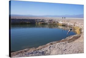 Man Diving into One of the Twin Fresh Lakes (Sala Eyes) in San Pedro De Atacama-Kimberly Walker-Stretched Canvas