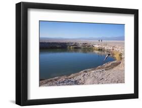 Man Diving into One of the Twin Fresh Lakes (Sala Eyes) in San Pedro De Atacama-Kimberly Walker-Framed Photographic Print