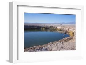 Man Diving into One of the Twin Fresh Lakes (Sala Eyes) in San Pedro De Atacama-Kimberly Walker-Framed Photographic Print