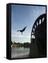 Man Diving off Water Wheel, Orontes River, Hama, Syria, Middle East-Christian Kober-Framed Stretched Canvas