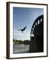 Man Diving off Water Wheel, Orontes River, Hama, Syria, Middle East-Christian Kober-Framed Photographic Print