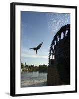 Man Diving off Water Wheel, Orontes River, Hama, Syria, Middle East-Christian Kober-Framed Photographic Print