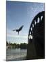 Man Diving off Water Wheel, Orontes River, Hama, Syria, Middle East-Christian Kober-Mounted Photographic Print