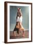 Brown Frame