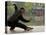 Man Doing Tai Chi Exercises at Black Dragon Pool with One-Cent Pavilion, Lijiang, China-Pete Oxford-Stretched Canvas