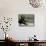 Man Doing Tai Chi Exercises at Black Dragon Pool with One-Cent Pavilion, Lijiang, China-Pete Oxford-Mounted Photographic Print displayed on a wall