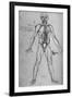 'Man Drawn as an Anatomical Figure to Show the Heart, Lungs and Main Arteries', c1480 (1945)-Leonardo Da Vinci-Framed Giclee Print