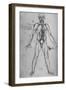 'Man Drawn as an Anatomical Figure to Show the Heart, Lungs and Main Arteries', c1480 (1945)-Leonardo Da Vinci-Framed Giclee Print