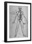 'Man Drawn as an Anatomical Figure to Show the Heart, Lungs and Main Arteries', c1480 (1945)-Leonardo Da Vinci-Framed Giclee Print