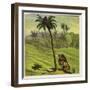 Man Escaping from a Lion by Climbing a Tree-Ernest Henry Griset-Framed Giclee Print