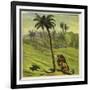 Man Escaping from a Lion by Climbing a Tree-Ernest Henry Griset-Framed Giclee Print