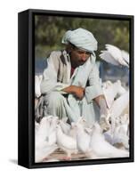 Man Feeding the Famous White Pigeons, Mazar-I-Sharif, Afghanistan-Jane Sweeney-Framed Stretched Canvas