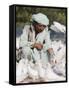 Man Feeding the Famous White Pigeons, Mazar-I-Sharif, Afghanistan-Jane Sweeney-Framed Stretched Canvas
