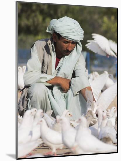 Man Feeding the Famous White Pigeons, Mazar-I-Sharif, Afghanistan-Jane Sweeney-Mounted Photographic Print