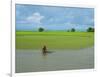 Man fishing at edge of Kaladan River, Rakhine State, Myanmar-null-Framed Photographic Print