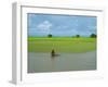 Man fishing at edge of Kaladan River, Rakhine State, Myanmar-null-Framed Photographic Print