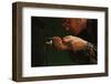 Man Fixing Knob on Screen Door-William P. Gottlieb-Framed Photographic Print