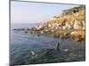 Man Floating in Dead Sea, Jordan, Middle East-Alison Wright-Mounted Photographic Print